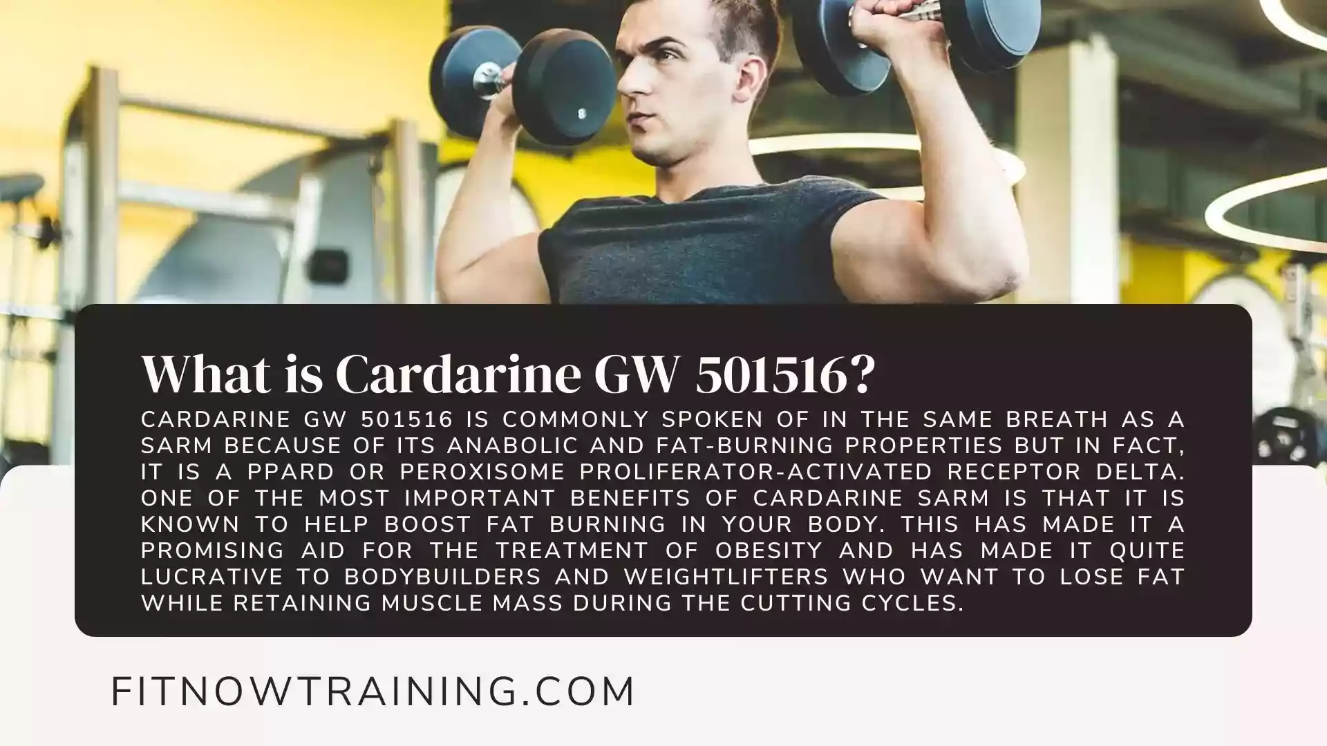 Cardarine GW 501516 SARM Review