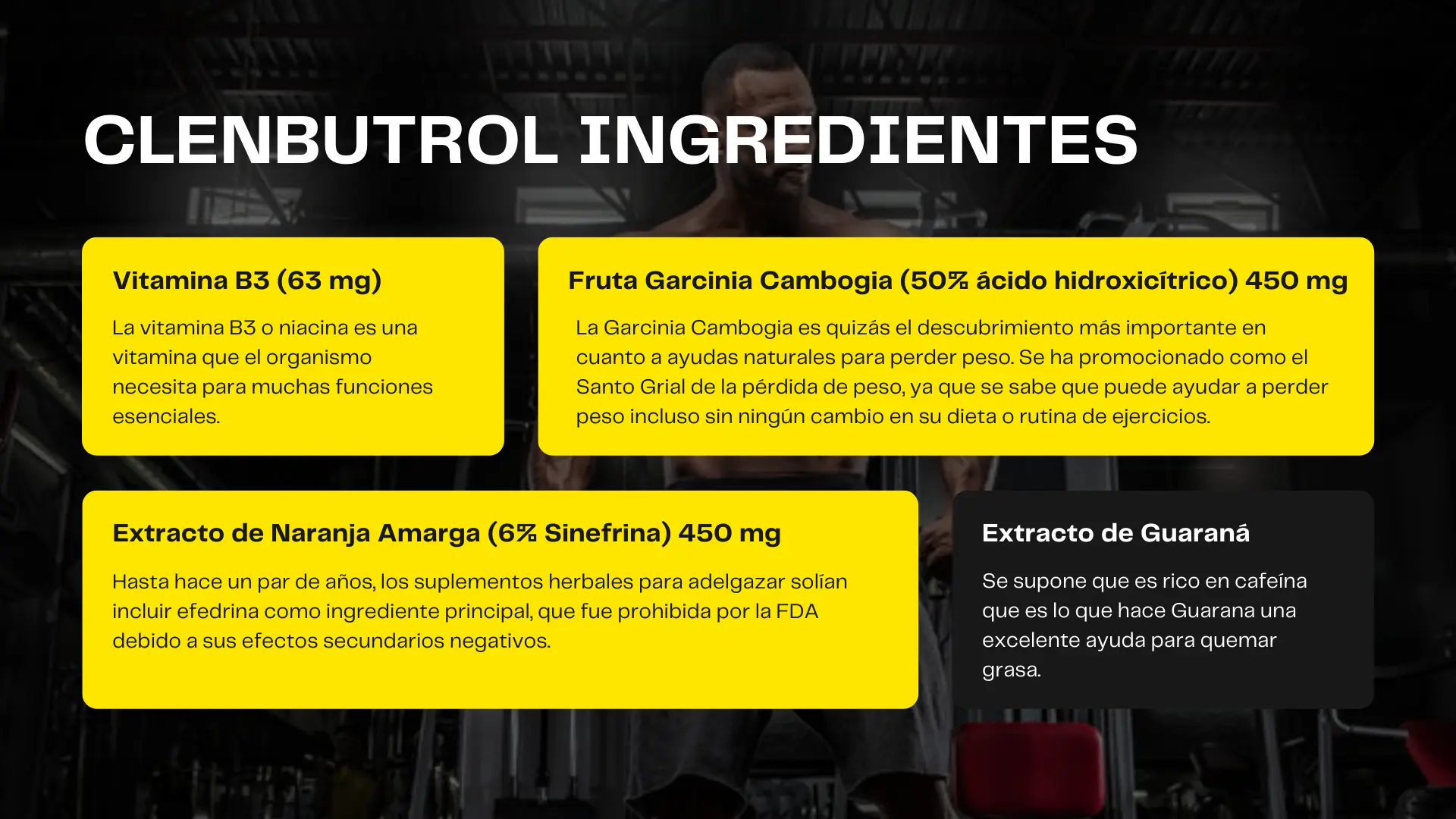 Clenbutrol Ingredientes